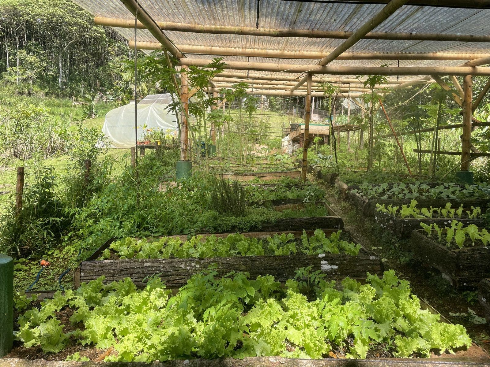 Permaculture Farm — photo 14 of 19