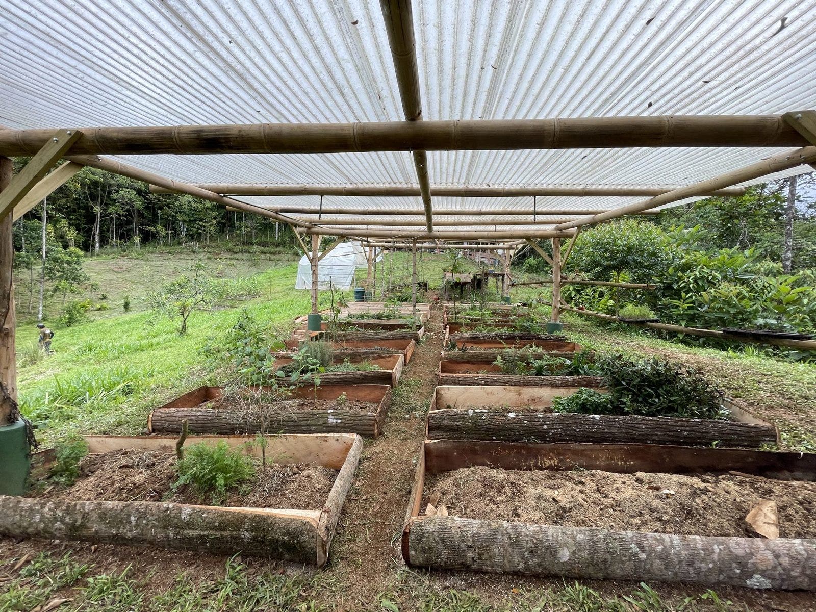 Permaculture Farm — photo 15 of 19