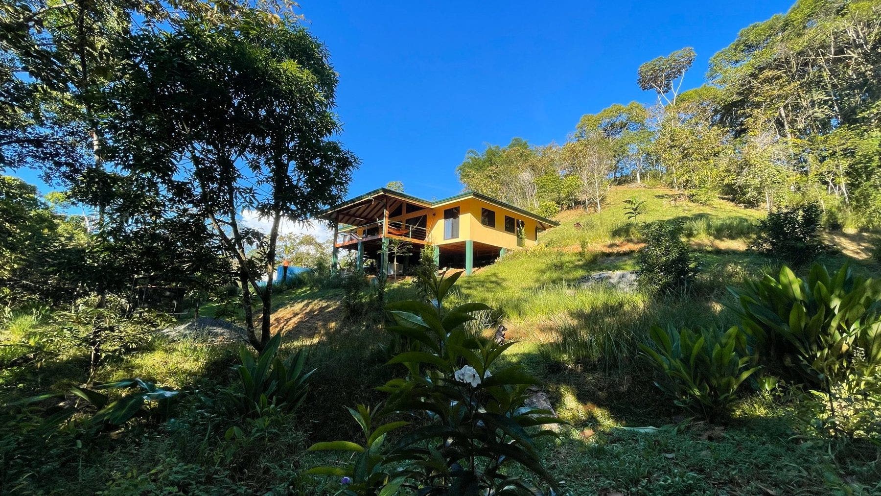 Permaculture Farm, Perez Zeledon, San Jose, Costa Rica 11901