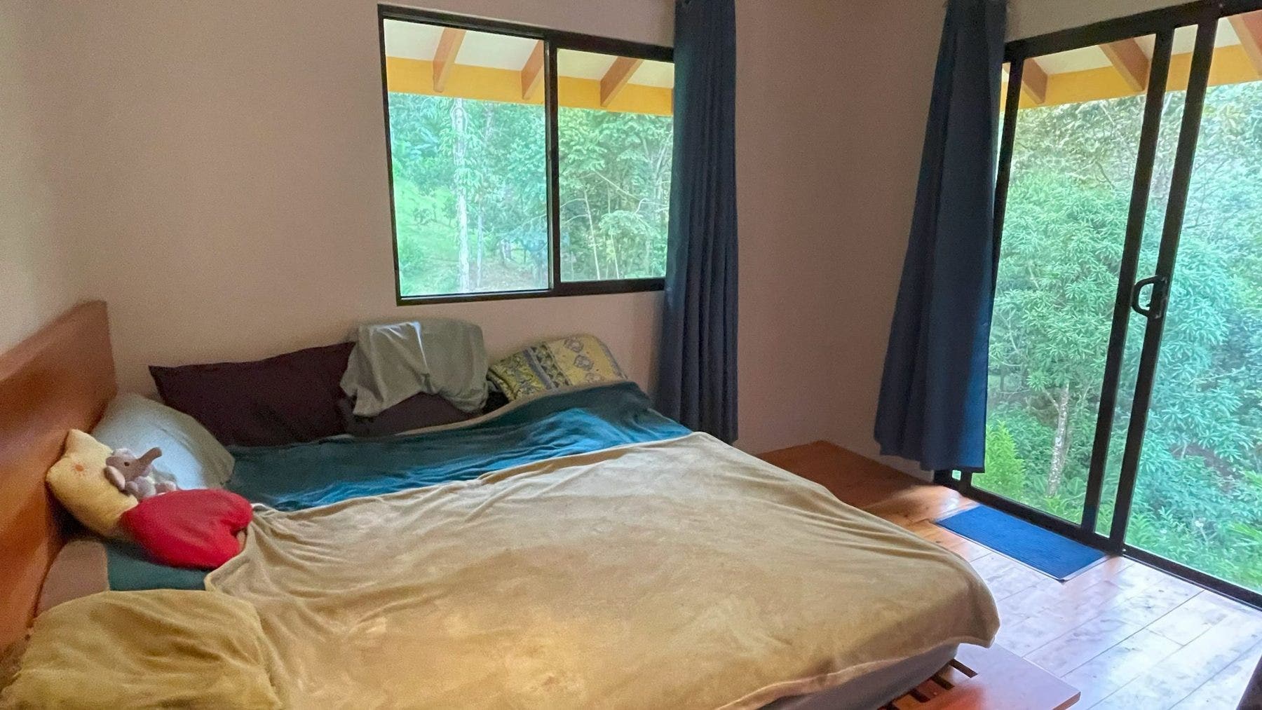 Permaculture Farm, Perez Zeledon, San Jose, Costa Rica 11901