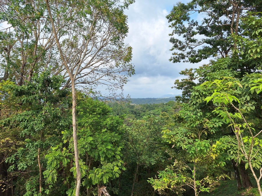 Property photo for Valley View Land , Playa Hermosa, Santa Teresa, Cobano, Puntarenas, Puntarenas, Costa Rica