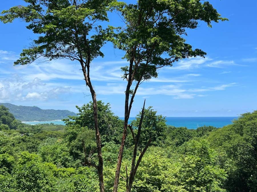 Property photo for Ocean view Land, Santa Teresa, Cobano, Puntarenas, Puntarenas, Costa Rica