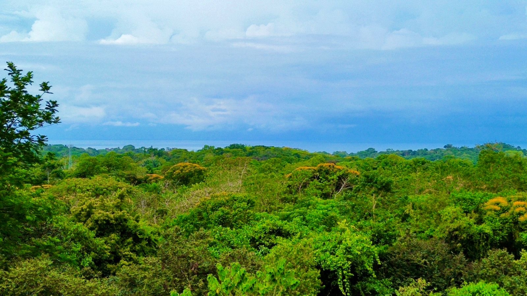 Three Private Lots On Calle Tucan, Ojochal, Bahia Ballena, Osa, Puntarenas, Costa Rica 60501