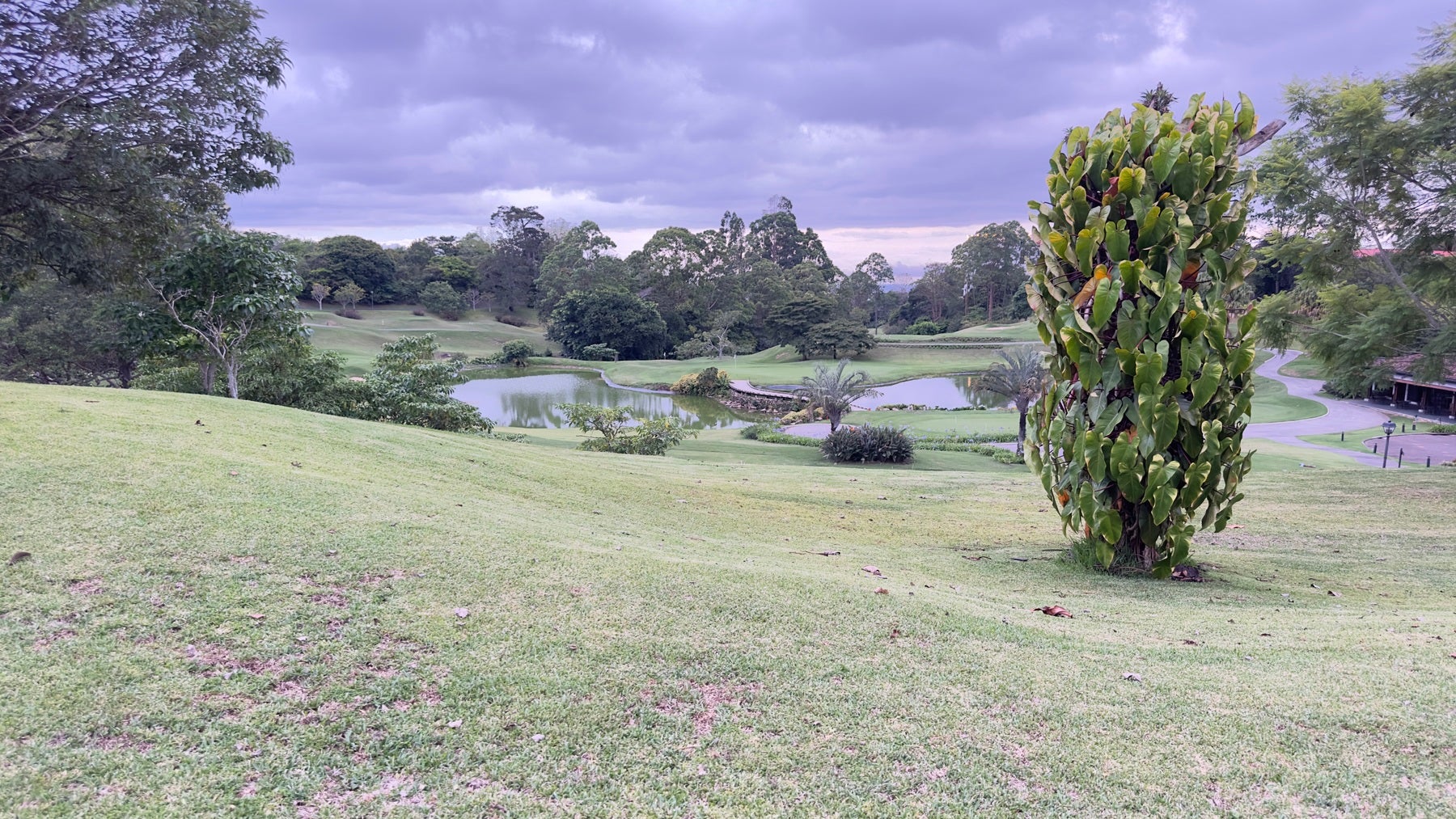 Monteran, Lot Green Oasis, Monteran, Curridabat, Sanchez, Curridabat, San Jose, Costa Rica 11801