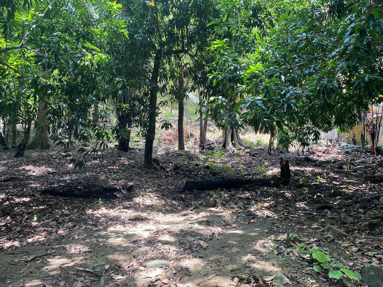 Centrally Located Commercial Lot in Santa Teresa — photo 9 of 13