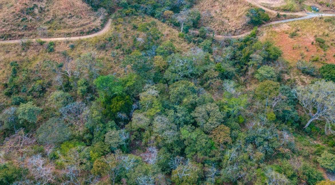 Ocean-View Roadfront Acreage — photo 4 of 5