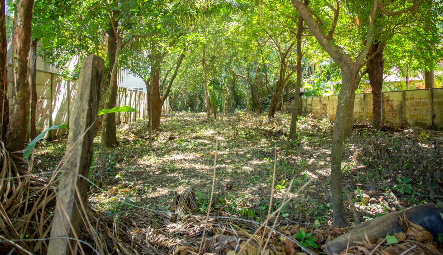 Unique Prime Piece of Land Close to the Beach — photo 2 of 6