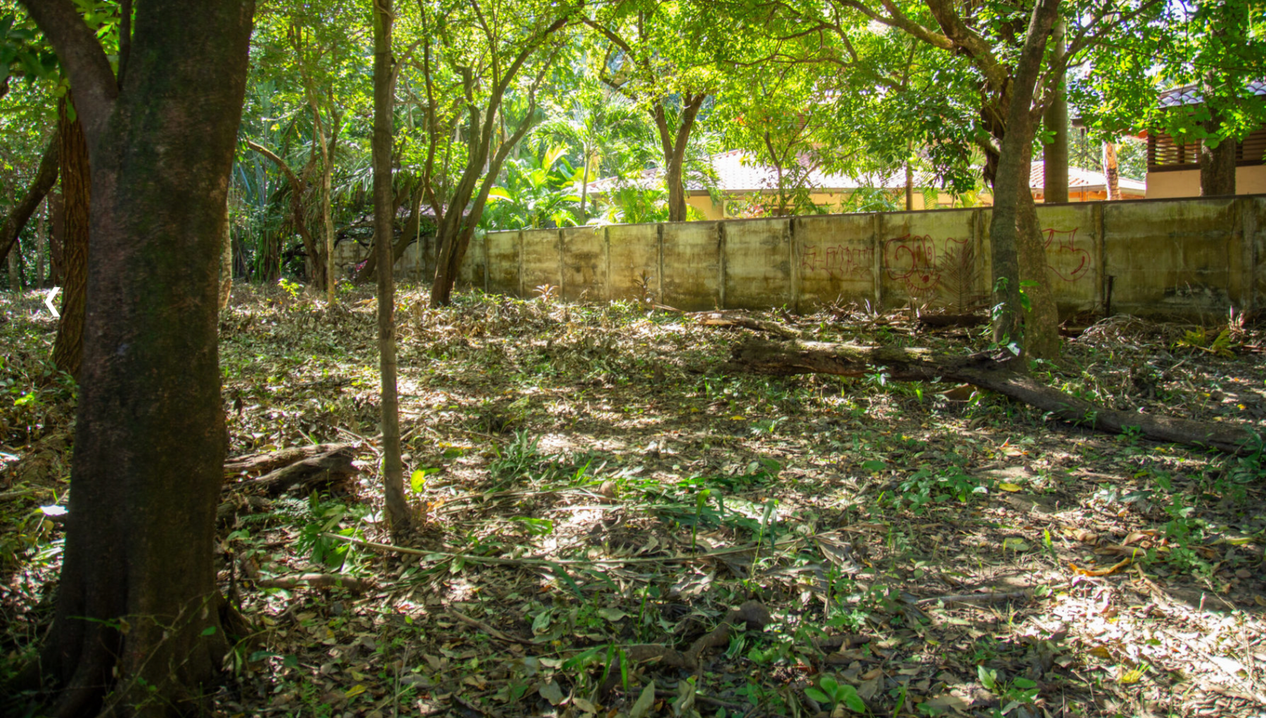 Unique Prime Piece of Land Close to the Beach — photo 3 of 6