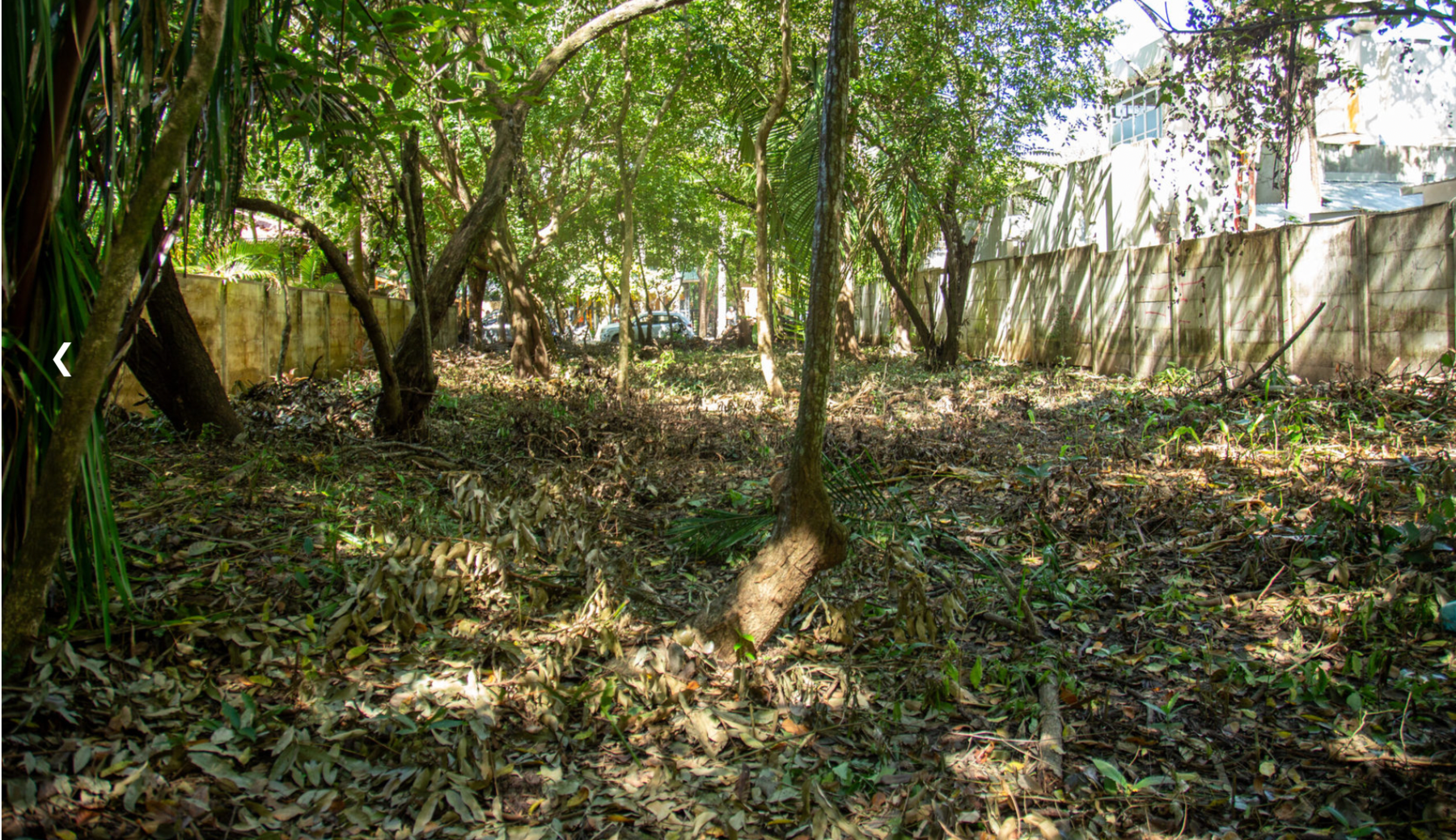 Unique Prime Piece of Land Close to the Beach — photo 4 of 6
