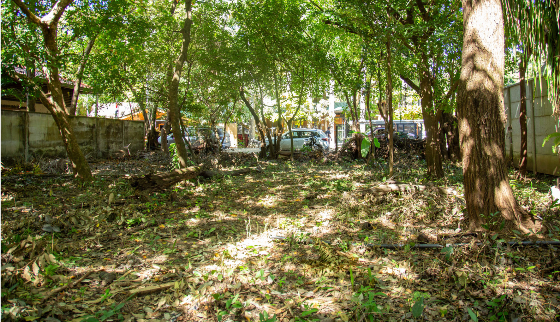 Unique Prime Piece of Land Close to the Beach — photo 5 of 6