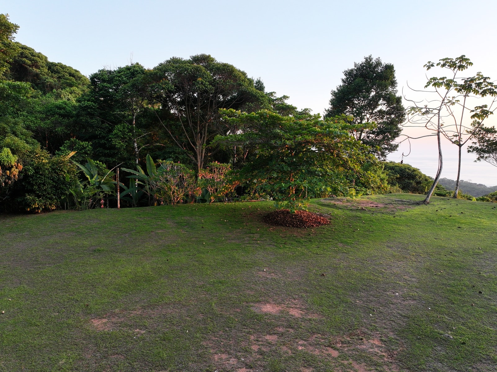 Arbol Viejo Lot 5 Premiero Dominical Point view site — photo 2 of 2