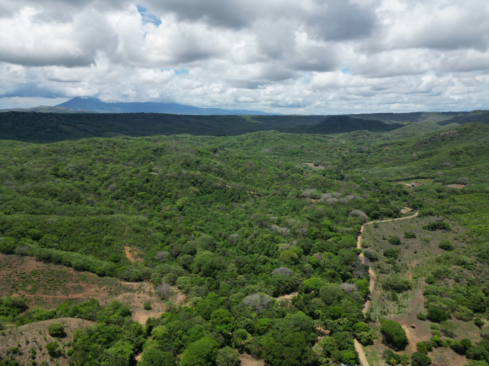 Finca Los Tamarindos, La Cruz, Papagayo, Guanacaste, Costa Rica — photo 4 of 5