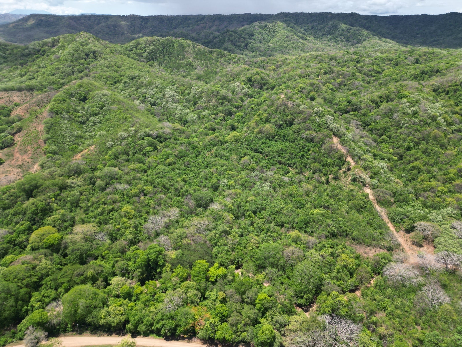 Finca Los Tamarindos, La Cruz, Papagayo, Guanacaste, Costa Rica — photo 5 of 5