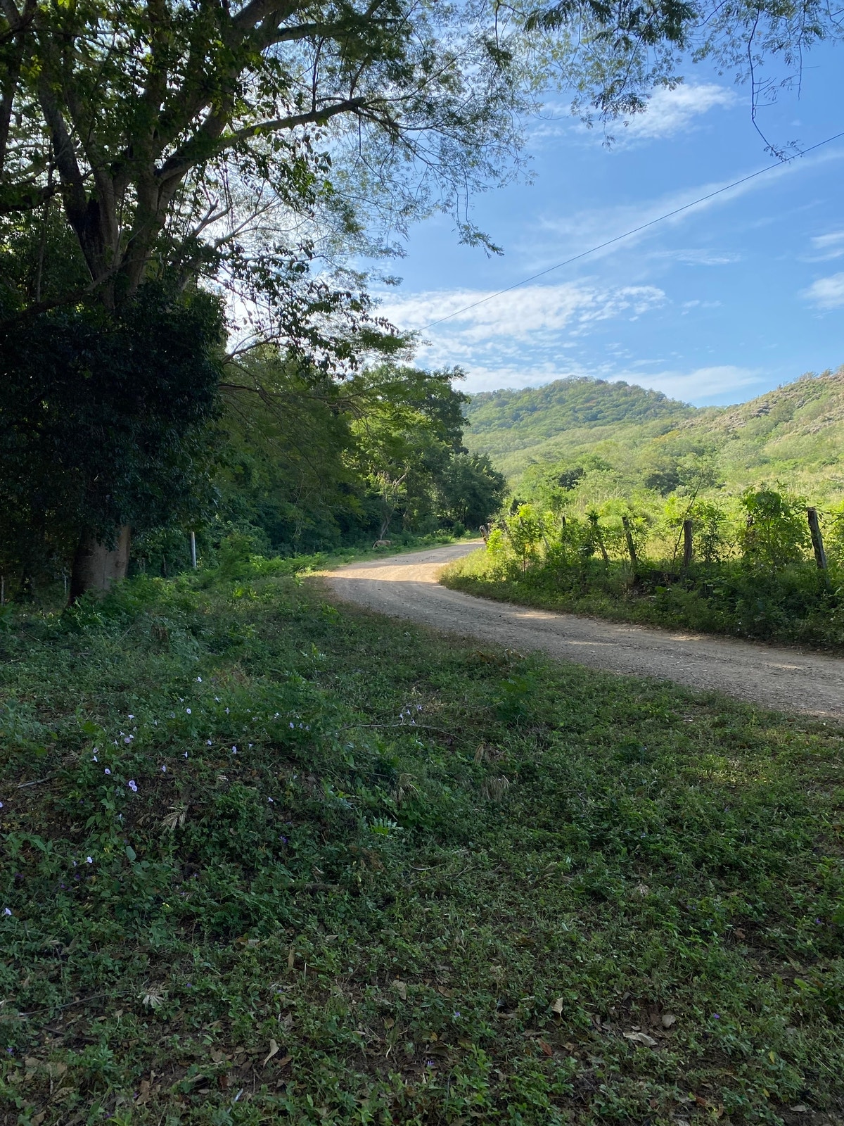 Finca Los Tamarindos — photo 6 of 10