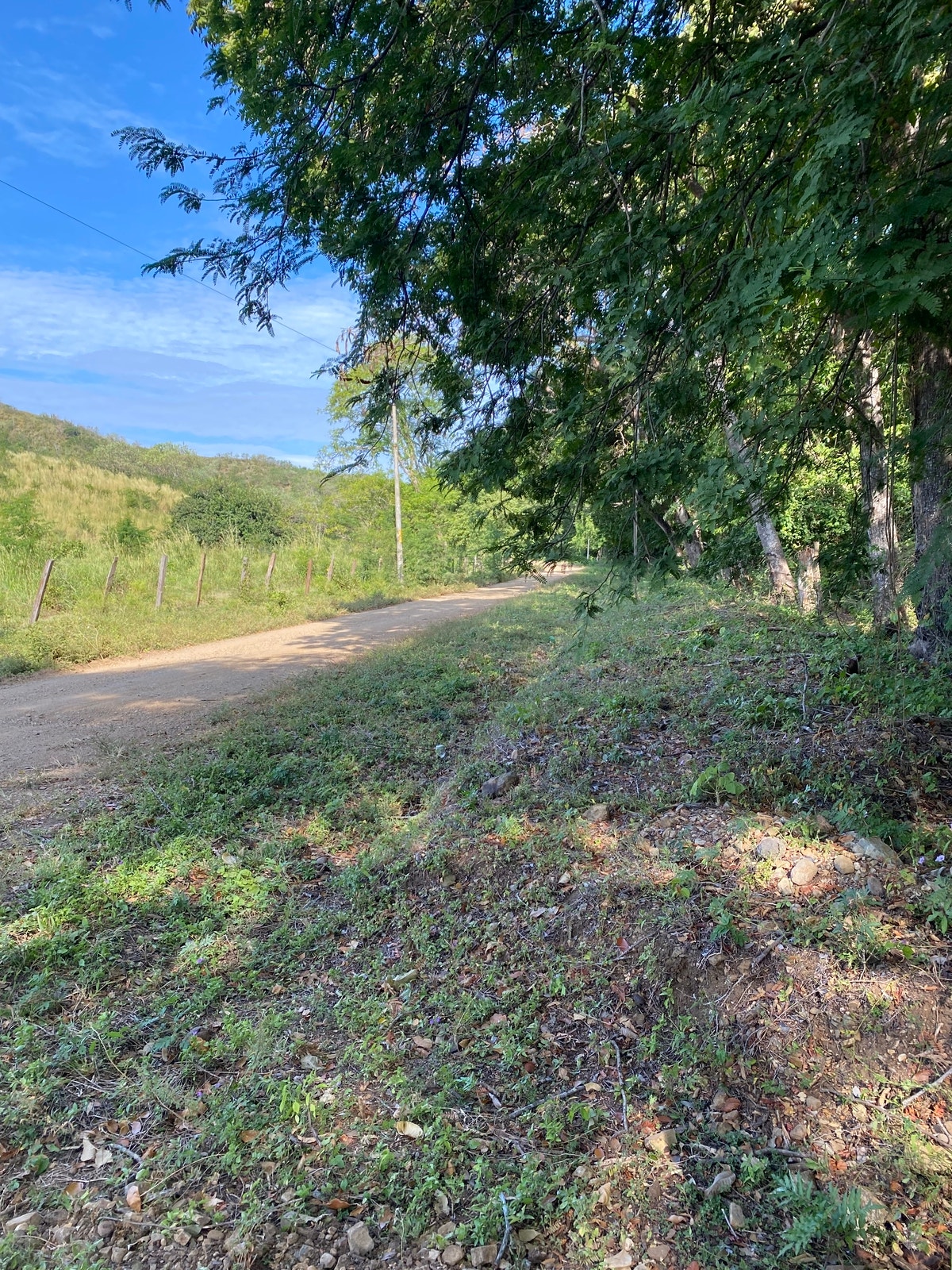 Finca Los Tamarindos — photo 7 of 10
