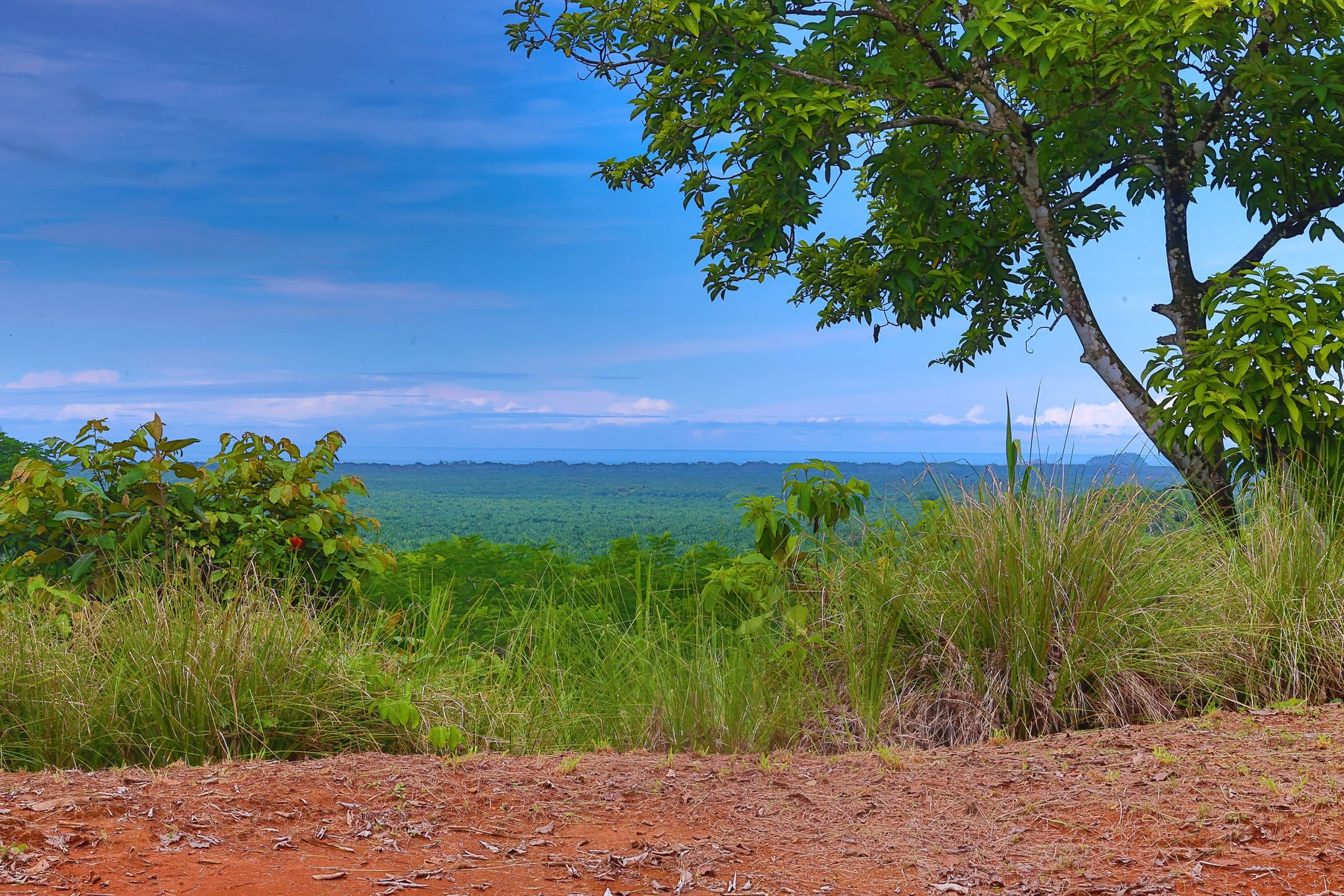 Ready to Build Development Property  with Expansive Ocean and Mountain Views — photo 2 of 19