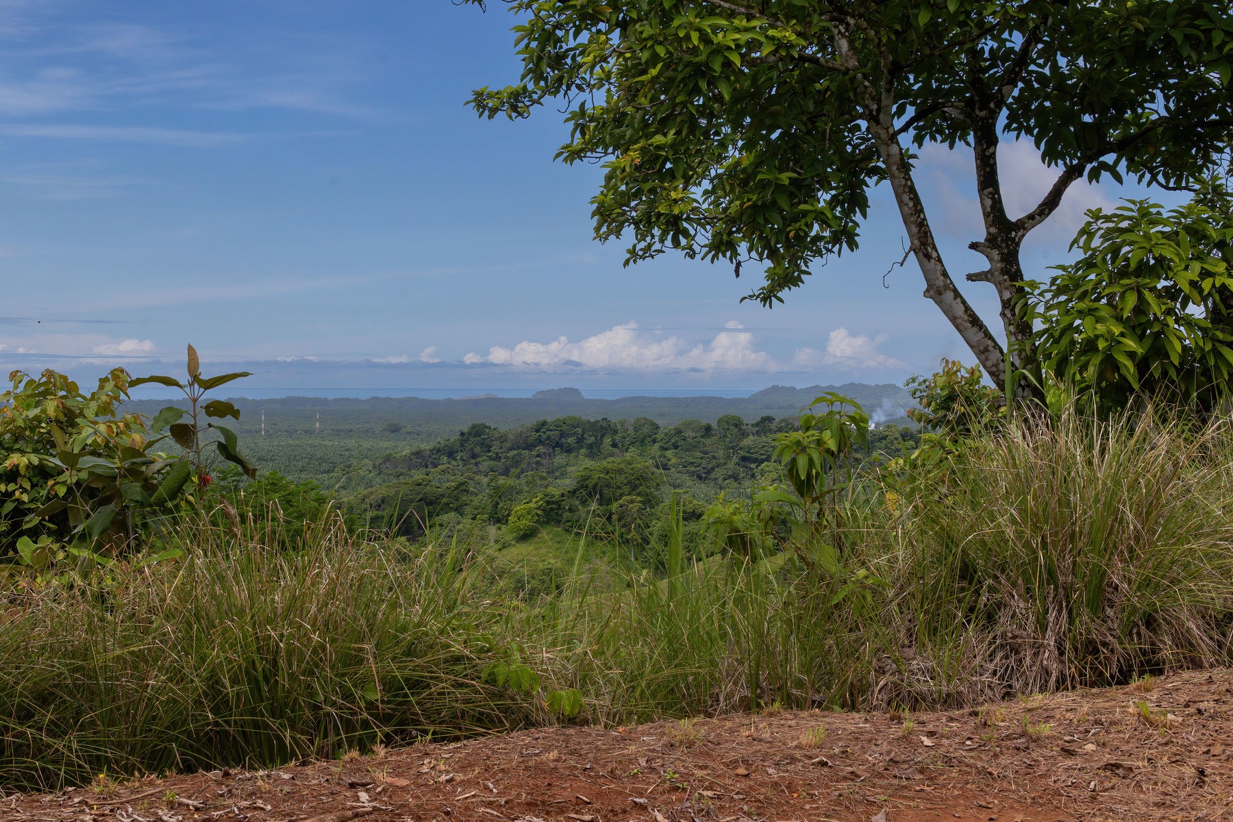 Ready to Build Development Property  with Expansive Ocean and Mountain Views — photo 16 of 19