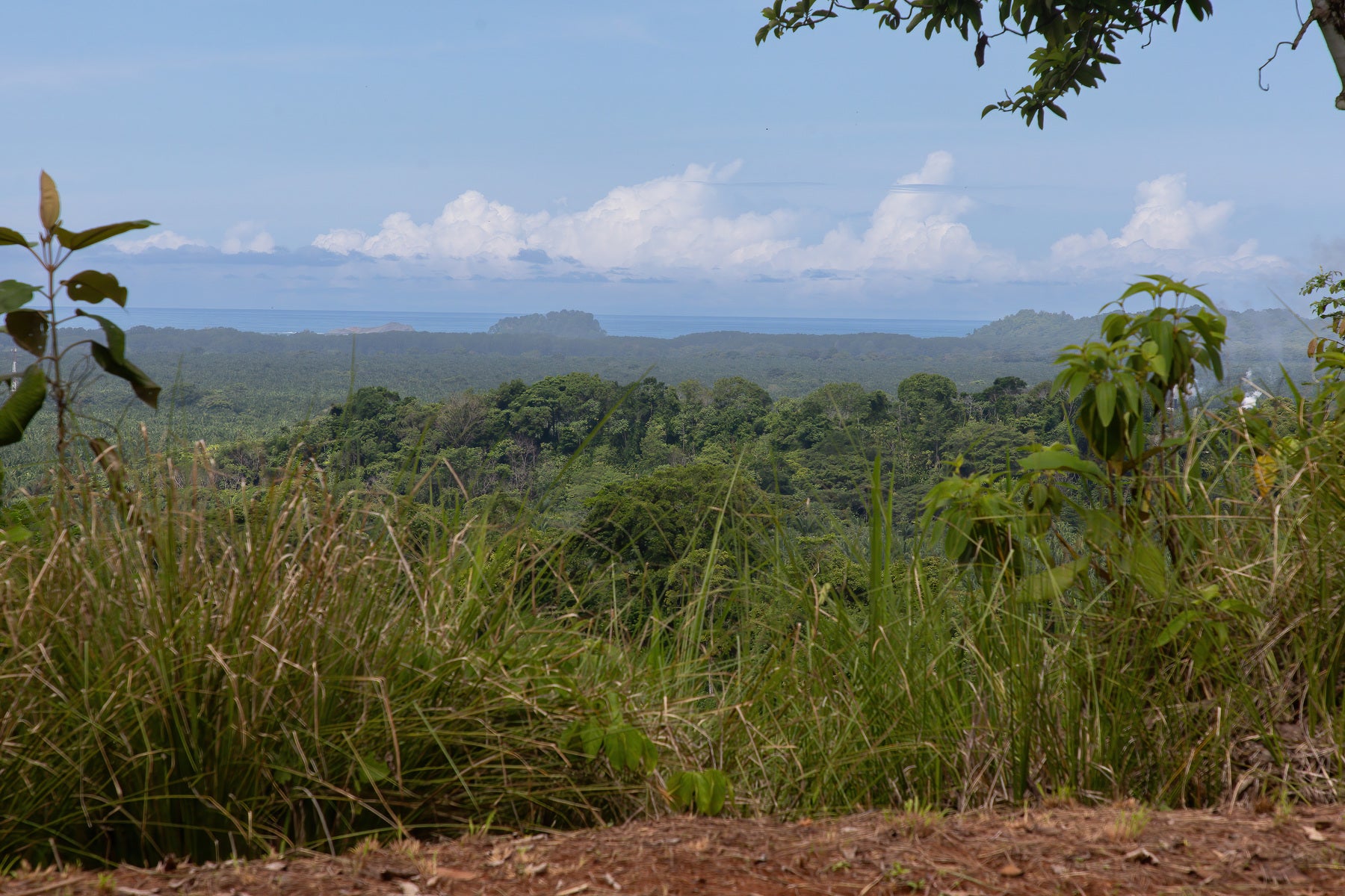 Ready to Build Development Property  with Expansive Ocean and Mountain Views — photo 18 of 19