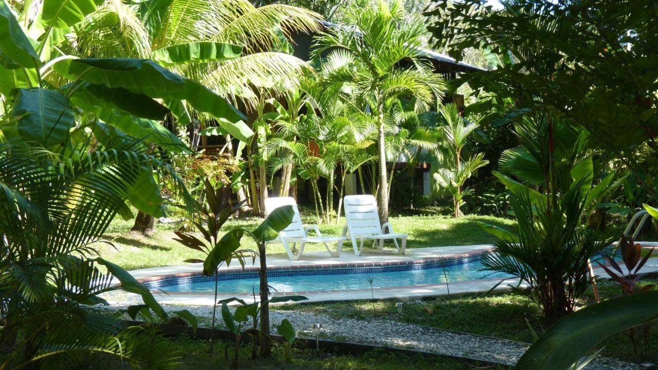 Quaint Hotel in the Heart of North Santa Teresa — photo 14 of 15