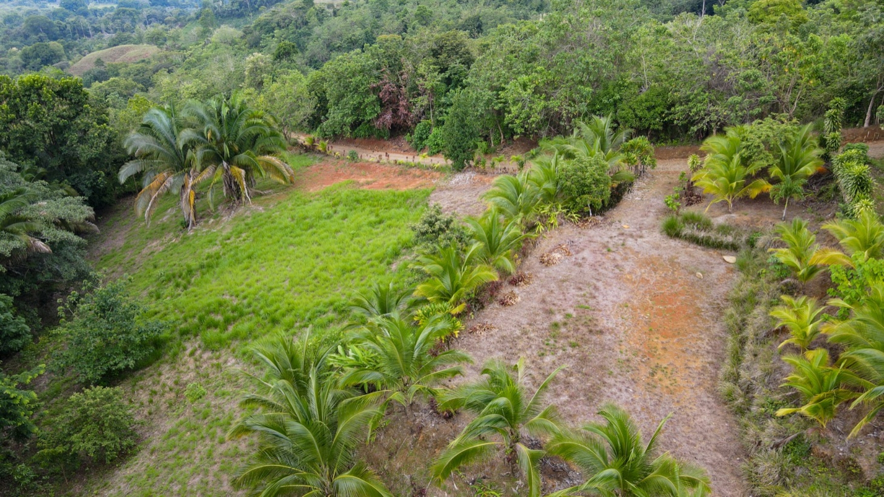 Property With Ocean And Jungle Views, San Buenas, Ojochal, Puerto Cortes, Osa, Puntarenas, Costa Rica 60501, San Buenas