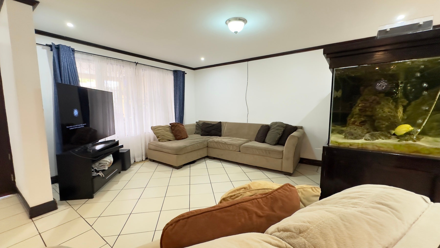 Tesoro del Rey  Condominium — photo 3 of 11