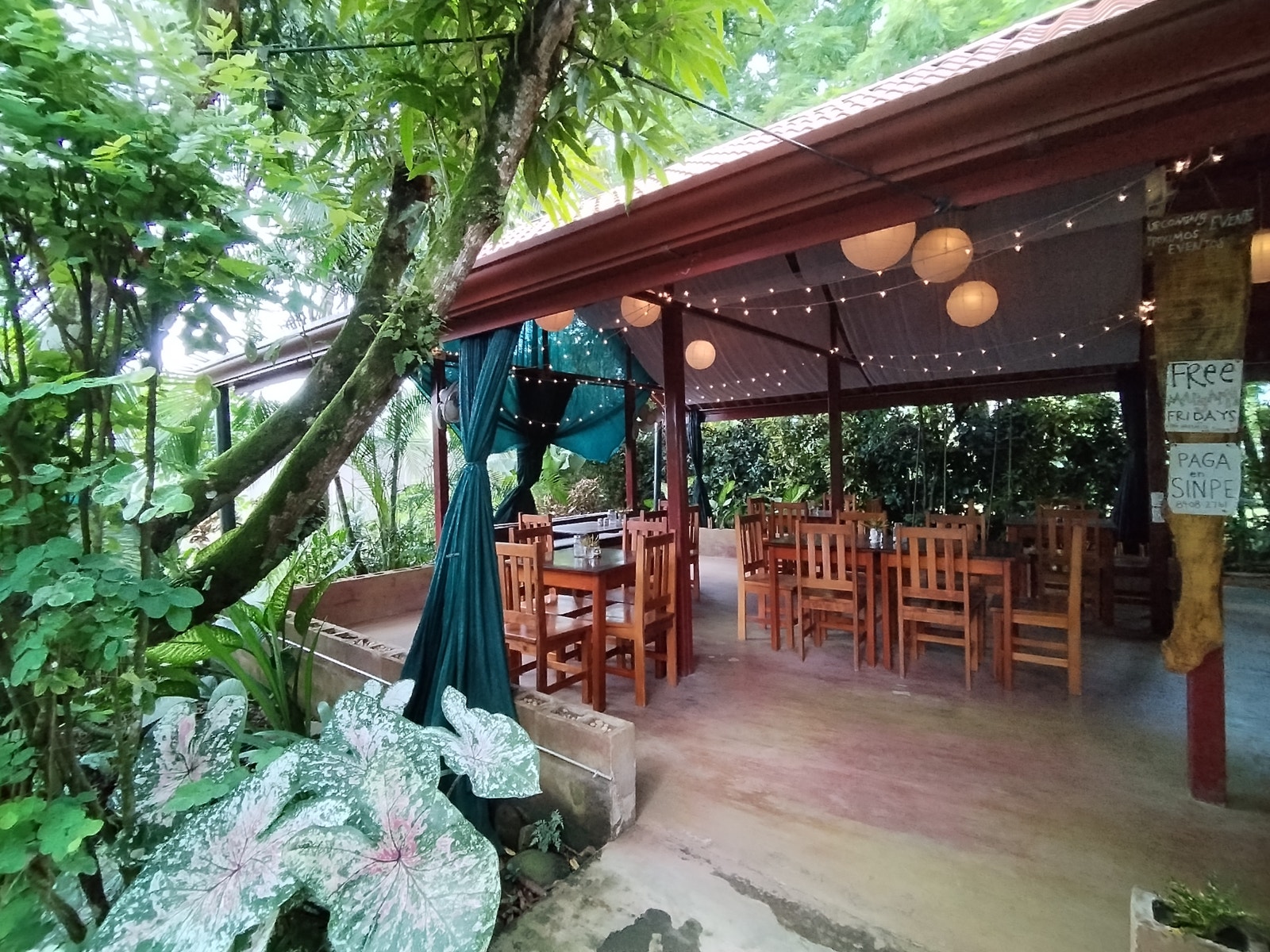 Restaurant with Apartment in Bahia Ballena — photo 2 of 13