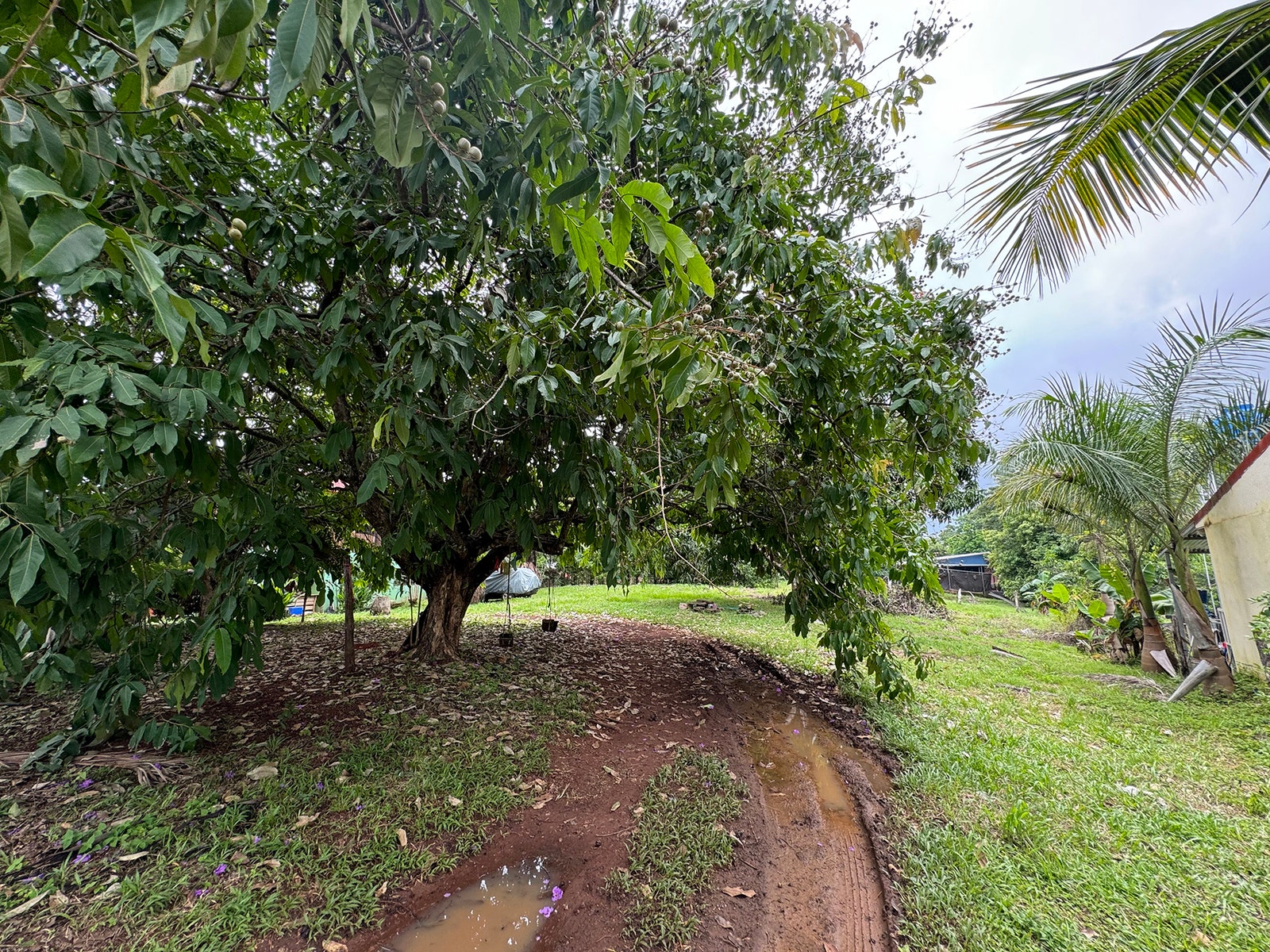 Residential lot in San Isidro — photo 2 of 5