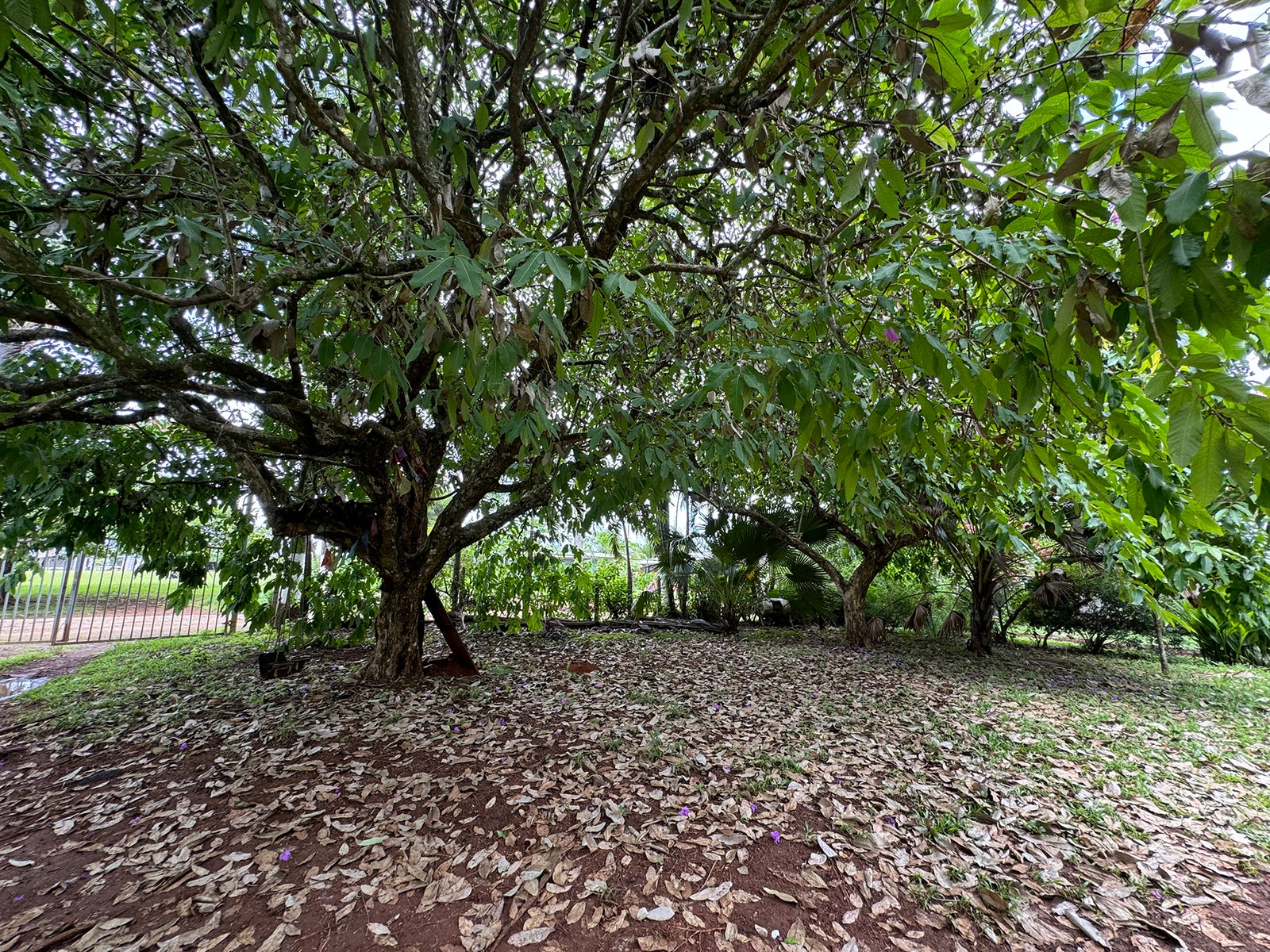 Residential lot in San Isidro — photo 3 of 5