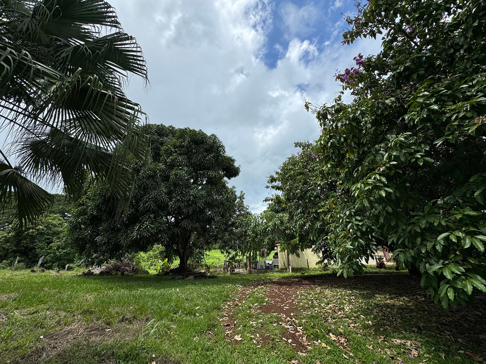 Residential lot in San Isidro — photo 4 of 5