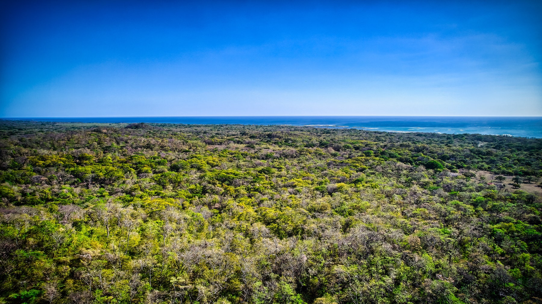 Nature View Lots in Gated Community — photo 13 of 19