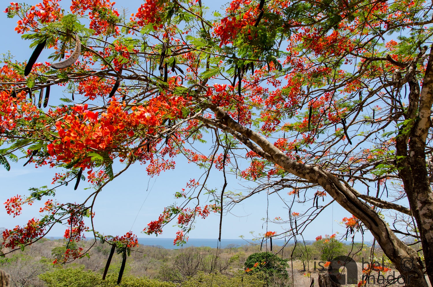 Nature View Lots in Gated Community — photo 8 of 19