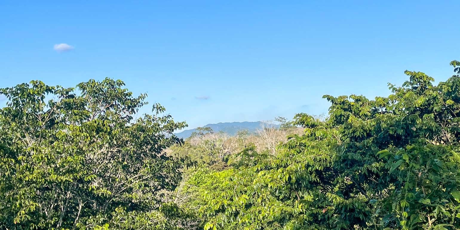 Spacious Lots in Betel-Manzanillo — photo 4 of 10