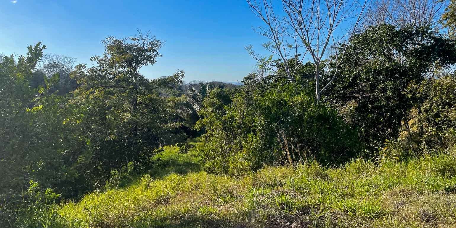 Spacious Lots in Betel-Manzanillo — photo 8 of 10