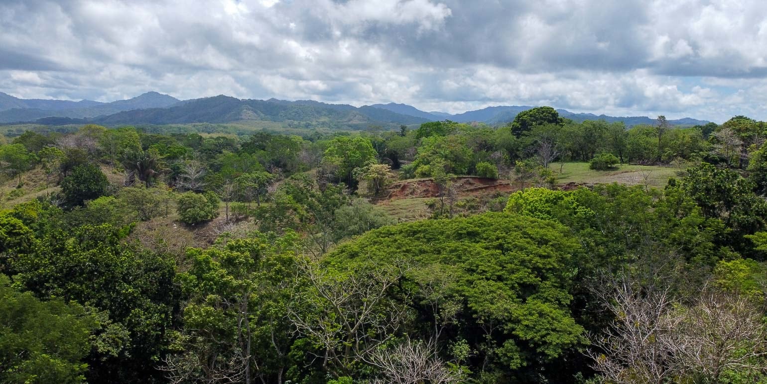 Spacious Lots in Betel-Manzanillo — photo 7 of 10