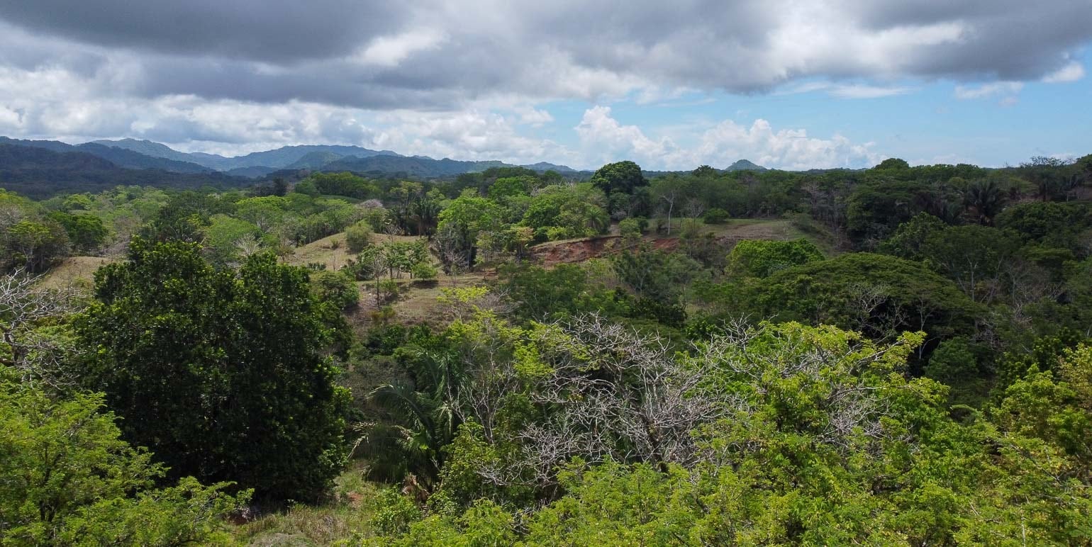 Spacious Lots in Betel-Manzanillo — photo 10 of 10