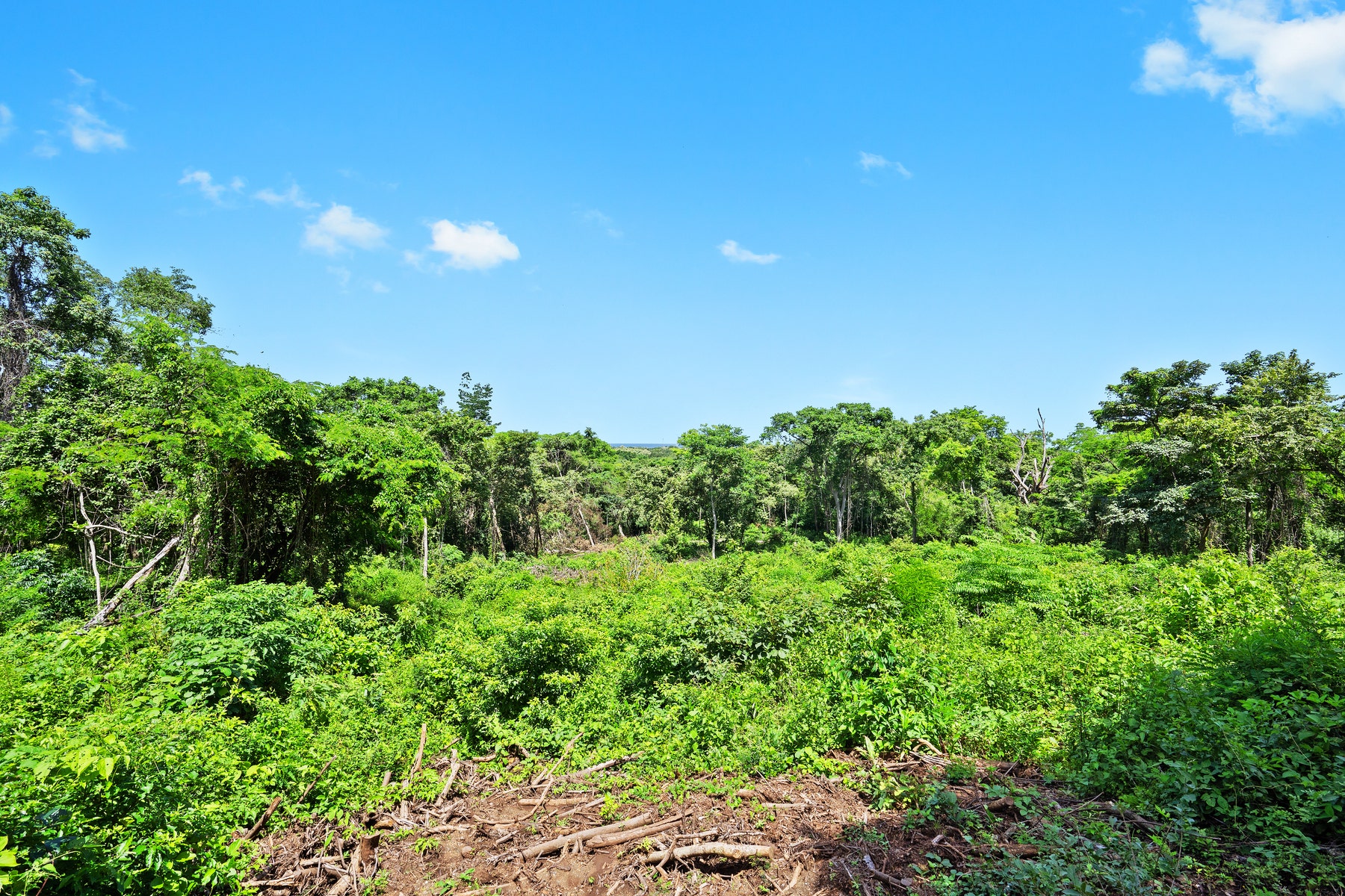 Nature View Lots in Gated Community — photo 6 of 19