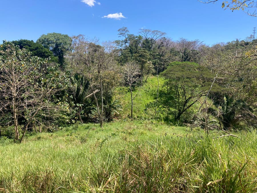 Property photo for Manzanillo Residential Lot 1, Manzanillo, Santa Teresa, Cobano, Puntarenas, Puntarenas, Costa Rica