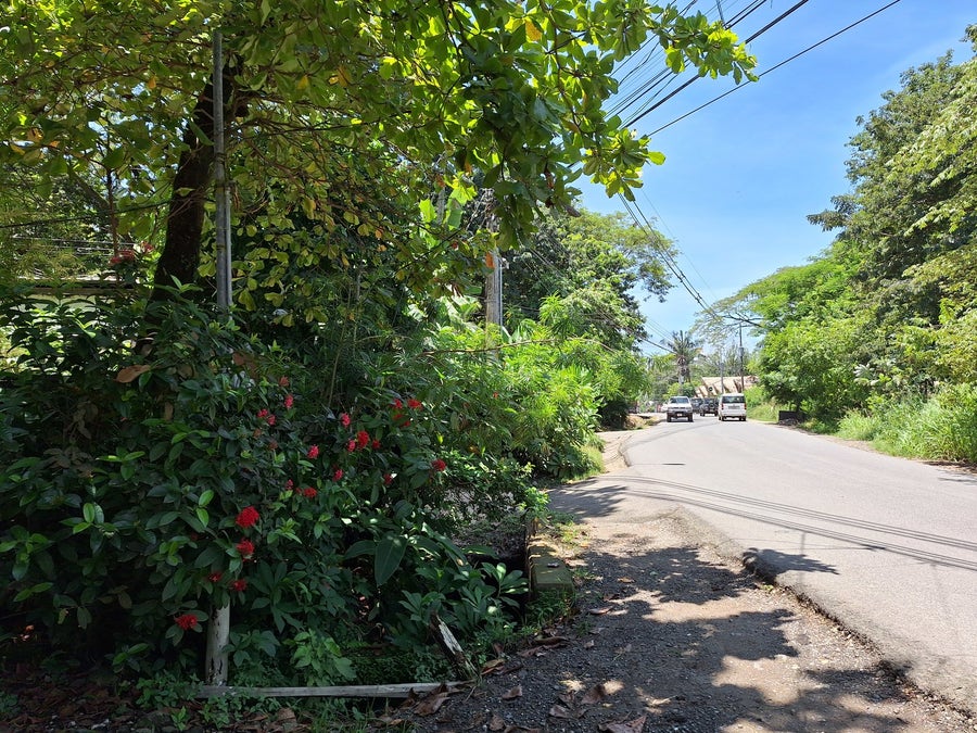 Property photo for Commercial Street Front Lot, Santa Teresa, Cobano, Puntarenas, Puntarenas, Costa Rica