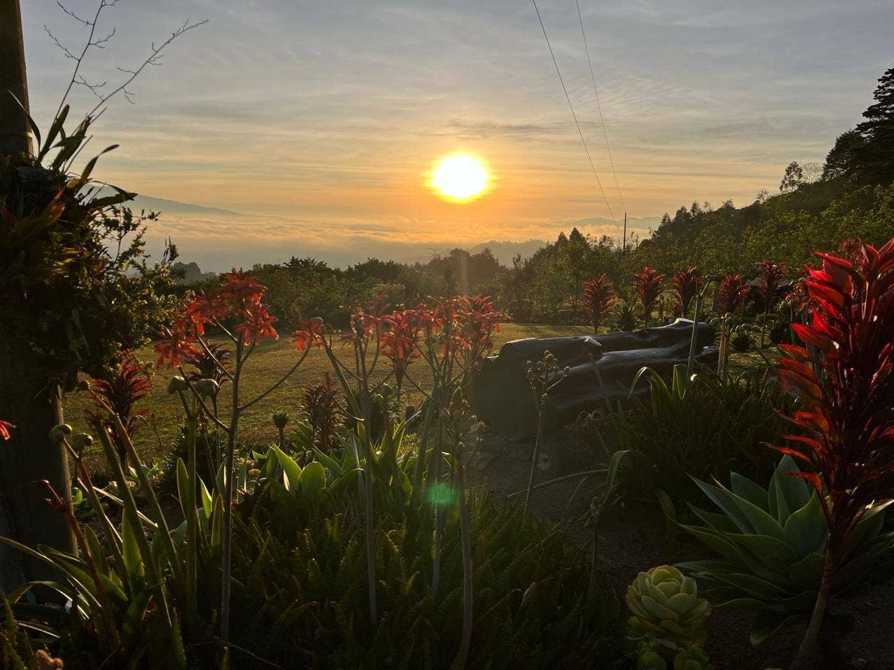 Palo Alto, family farm — photo 13 of 14