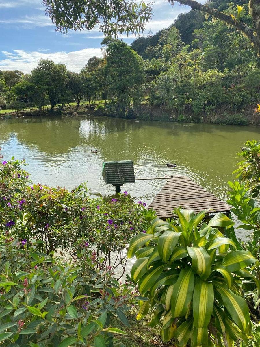 Palo Alto, family farm — photo 10 of 14