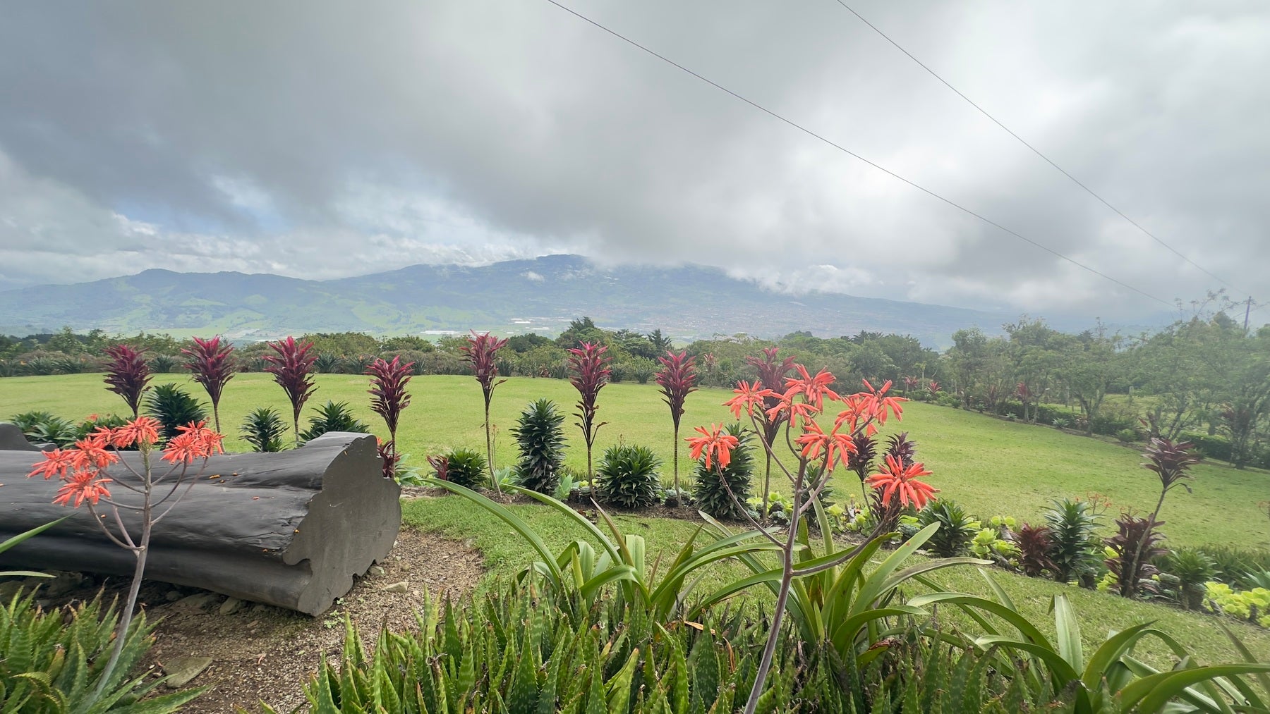 Palo Alto, family farm — photo 11 of 14