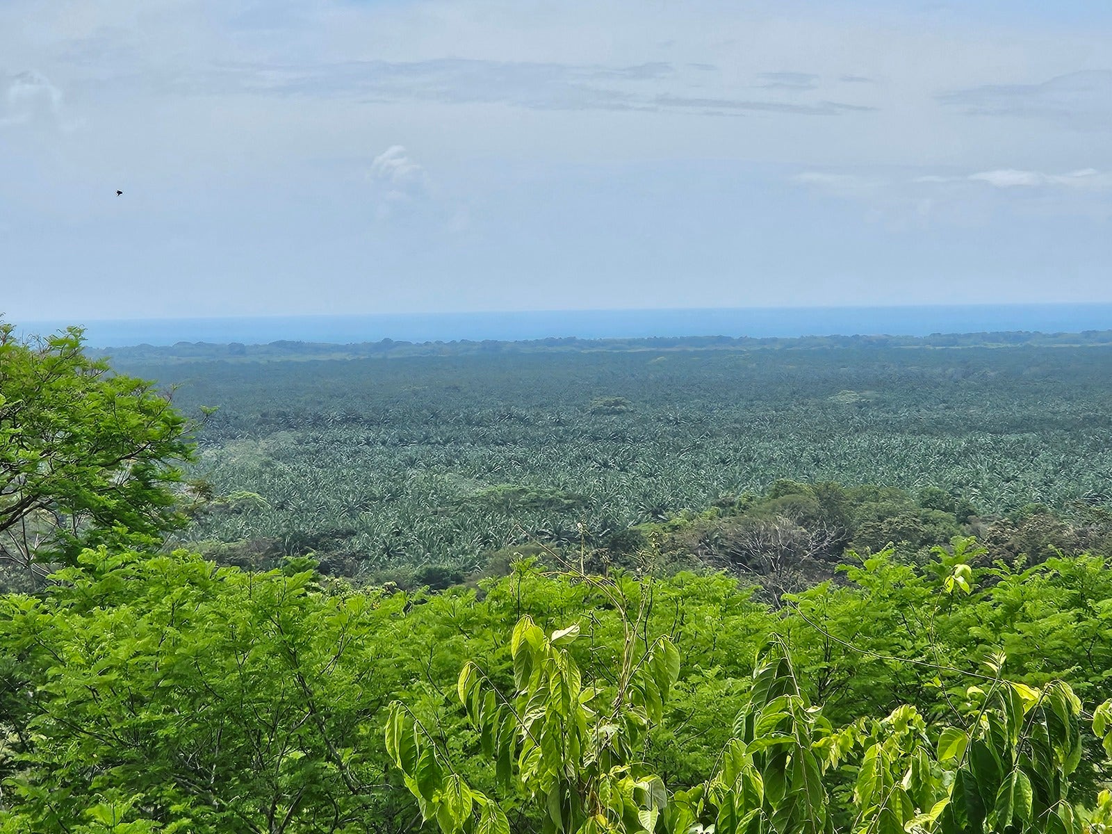 Ready to Build Development Property  with Expansive Ocean and Mountain Views, Londres, Manuel Antonio, Naranjito, Quepos, Puntarenas, Costa Rica 60603