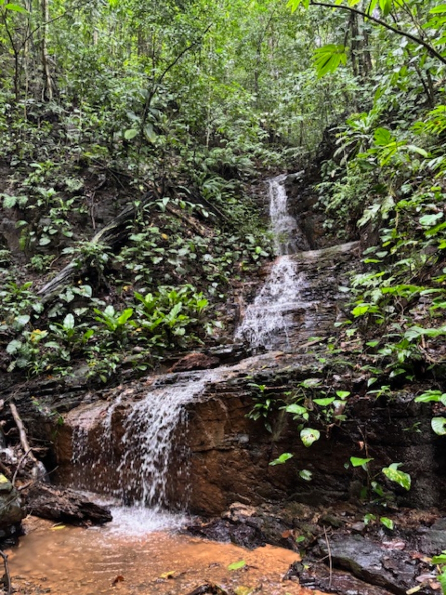 Large Jungle Property With Two Waterfalls, Dominical, Bahia Ballena, Osa, Puntarenas, Costa Rica 60504