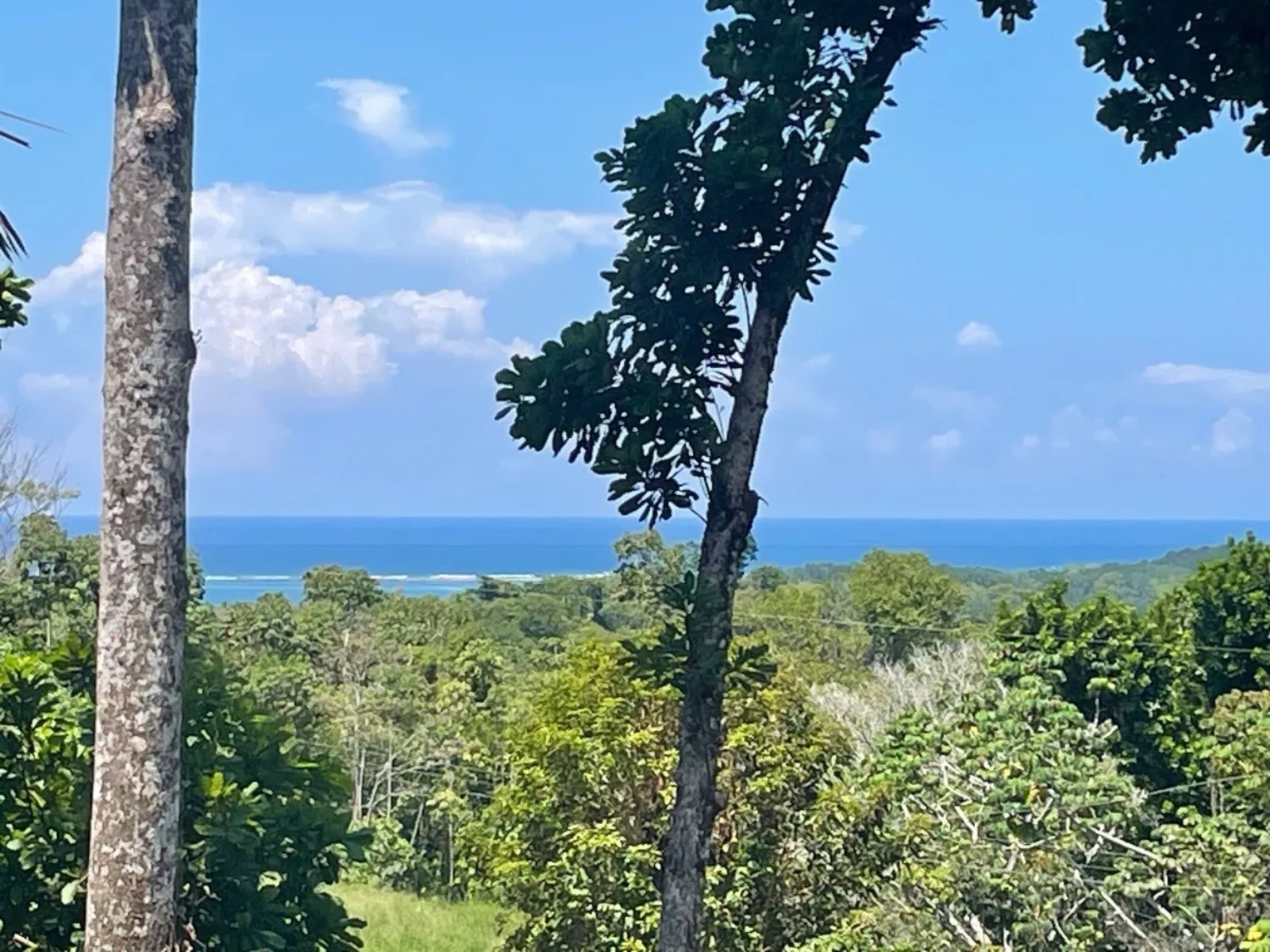 Luxury Residential House with Ocean View and Infinity Pool — photo 3 of 16