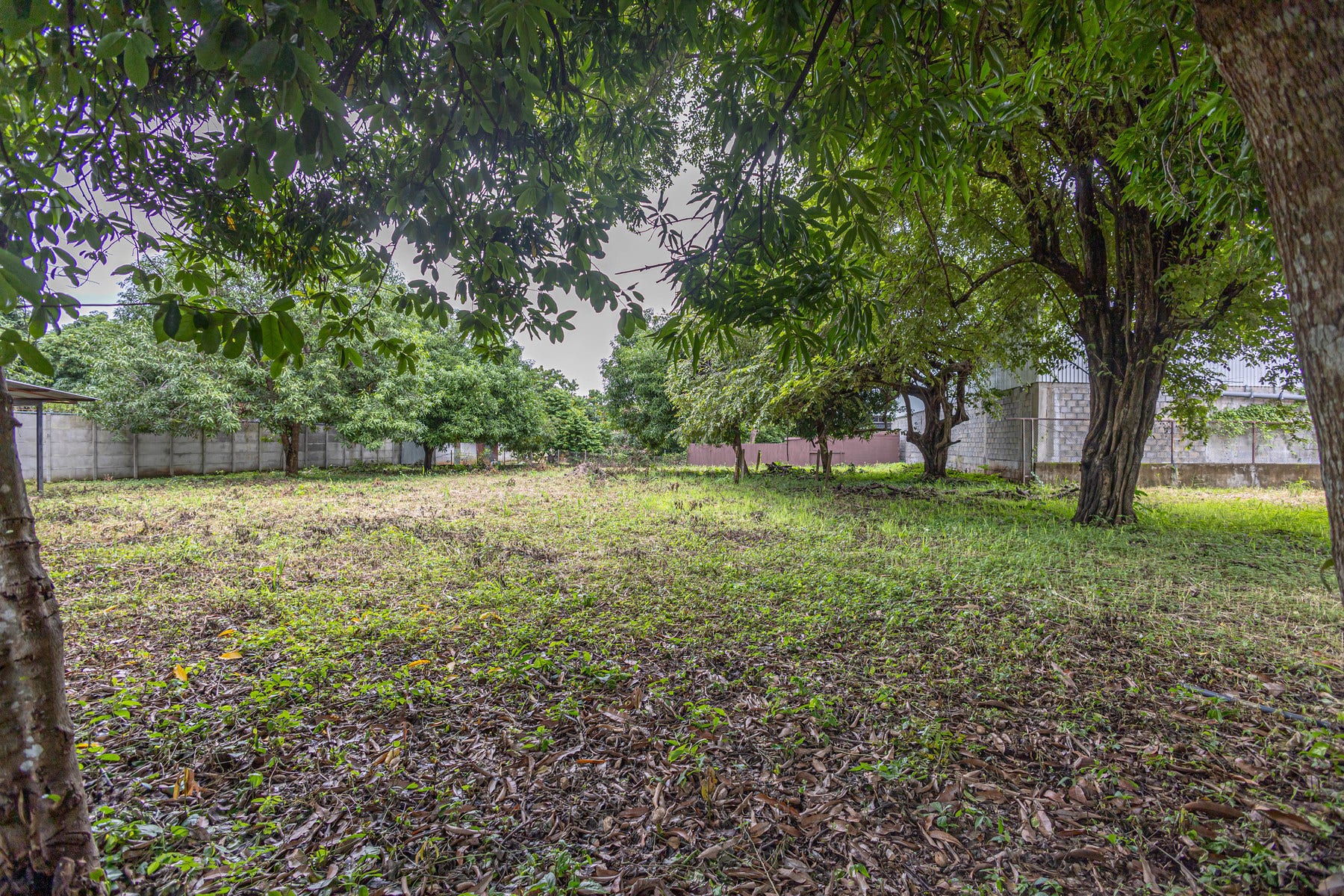 Opportunity Lot — photo 2 of 18