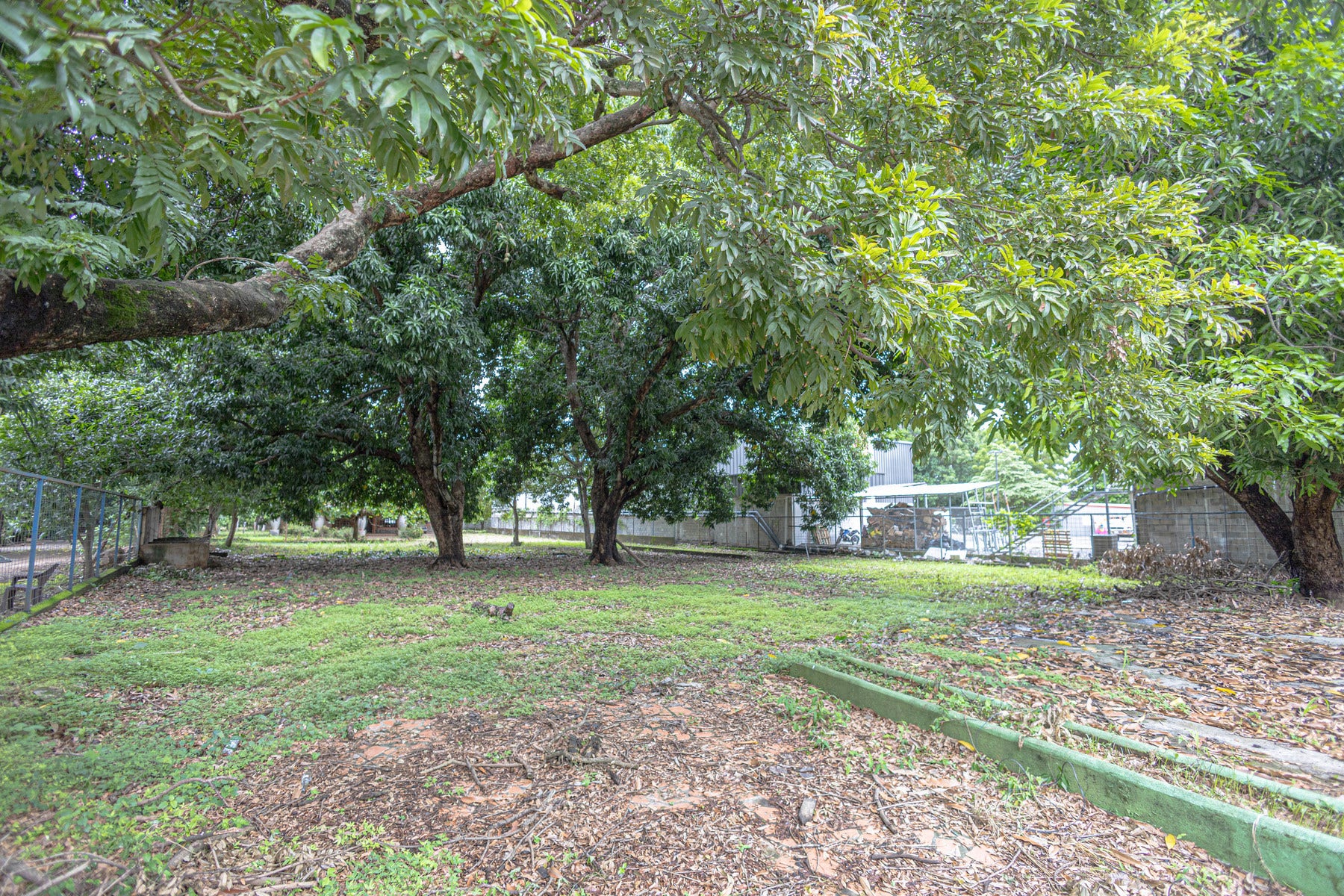 Opportunity Lot — photo 3 of 18