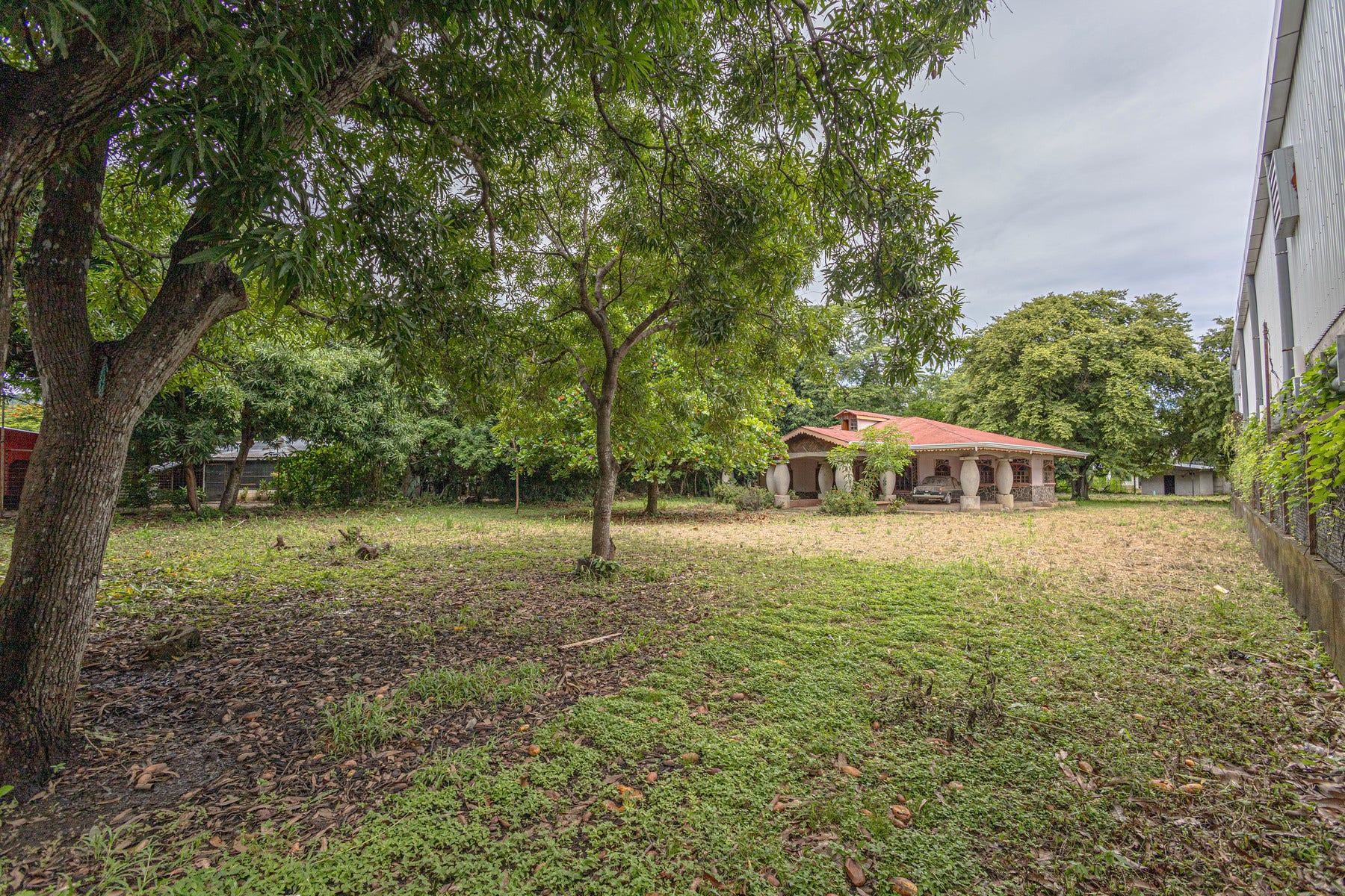 Opportunity Lot — photo 4 of 18