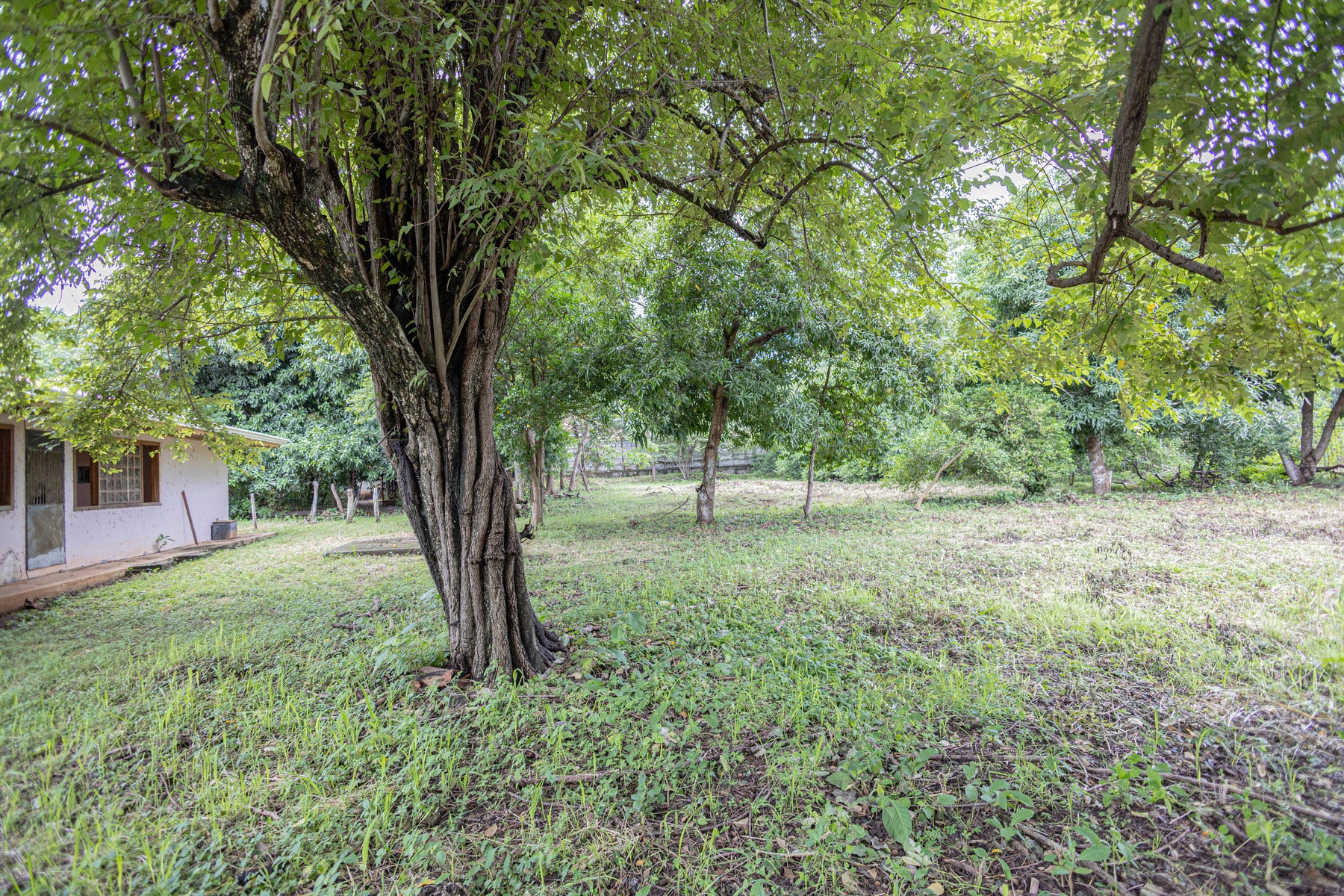 Opportunity Lot — photo 7 of 18