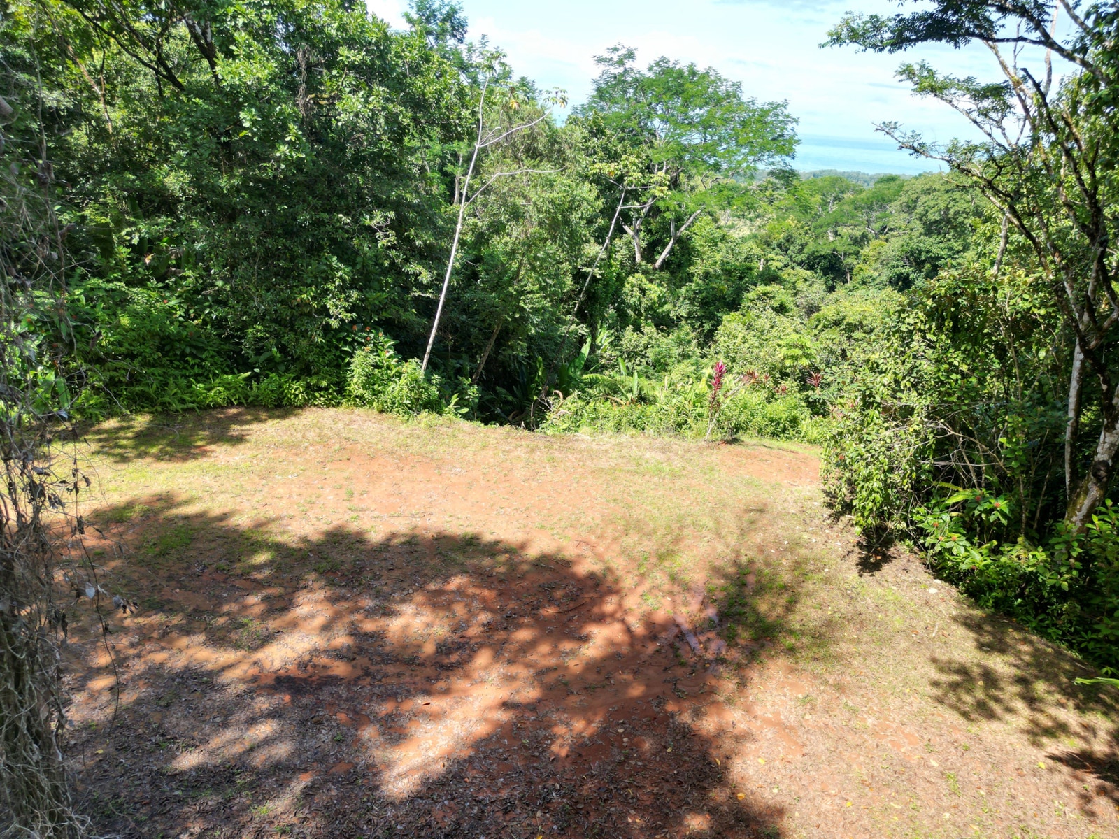 Private Ocean View Land — photo 4 of 12