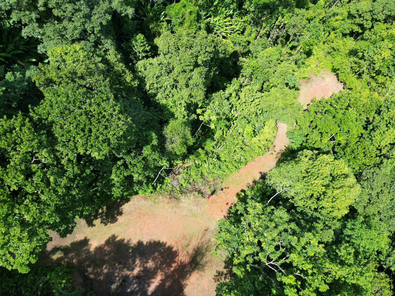 Private Ocean View Land — photo 3 of 12